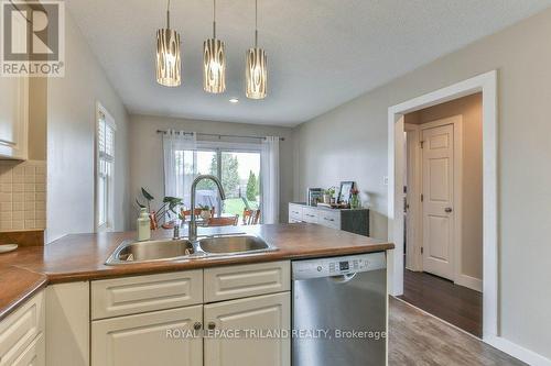 9 Brookside Drive, St. Thomas, ON - Indoor Photo Showing Kitchen With Double Sink