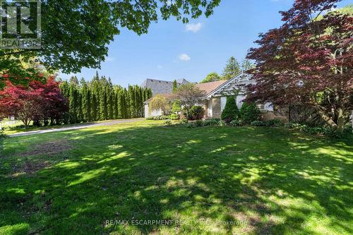 53 Lovers Lane, Hamilton, ON - Outdoor
