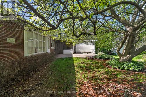 53 Lovers Lane, Hamilton, ON - Outdoor