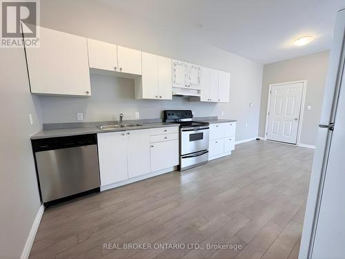 105 Cheever Street, Hamilton, ON - Indoor Photo Showing Kitchen With Double Sink