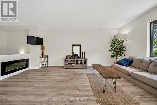 201 - 1000 Cedarglen Gate N, Mississauga, ON - Indoor Photo Showing Living Room With Fireplace