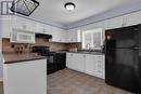 101 Downing Crescent, Barrie, ON  - Indoor Photo Showing Kitchen 