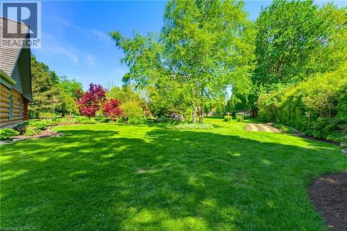 Expansive green lawn with dappled sunlight, bordered by diverse mature trees and shrubs - 169 James Street, Atwood, ON - Outdoor