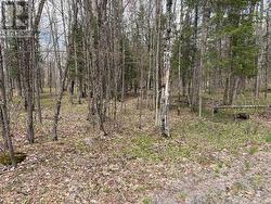 0 DAUNCEY ROAD Magnetawan (Spence), ON P0A 1P0