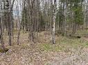 0 Dauncey Road, Magnetawan (Spence), ON 