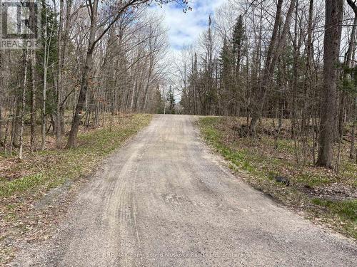 0 Dauncey Road, Magnetawan (Spence), ON 