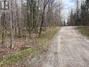 0 Dauncey Road, Magnetawan (Spence), ON 