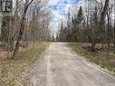 0 Dauncey Road, Magnetawan (Spence), ON 
