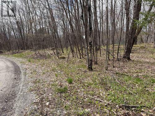 0 Dauncey Road, Magnetawan (Spence), ON 