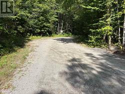 0 DAUNCEY ROAD Magnetawan (Spence), ON P0A 1P0