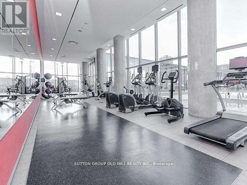 602 - 103 The Queensway, Toronto, ON - Indoor Photo Showing Gym Room