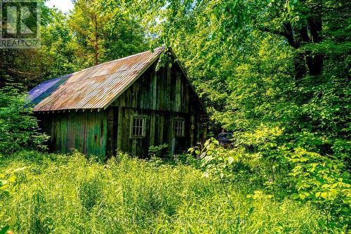 Barn with Electricity & Water - 600072 50 Side Road S, Chatsworth, ON 