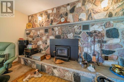 17100 Highway 41, Addington Highlands (Addington Highlands), ON - Indoor Photo Showing Living Room With Fireplace
