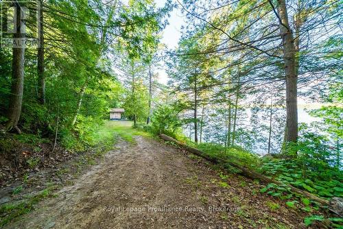 17100 Highway 41, Addington Highlands (Addington Highlands), ON - Outdoor