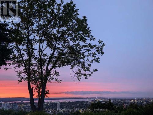47 Mountain Park Avenue, Hamilton, ON 