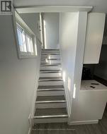 Basement - 