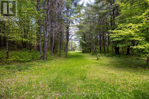 68 Lees Road, Mckellar, ON - Outdoor