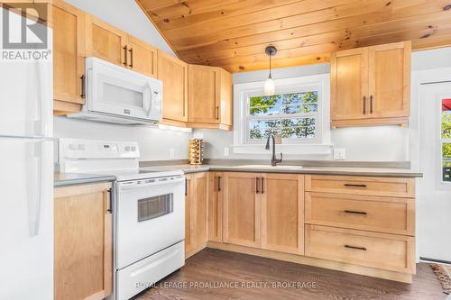 20300 South Brother Island, Frontenac (Frontenac South), ON - Indoor Photo Showing Kitchen