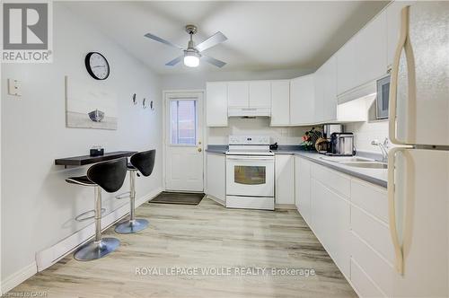 19 Hillbrook Crescent, Kitchener, ON - Indoor Photo Showing Kitchen With Double Sink