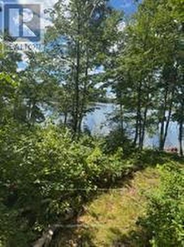 493 Buttermilk Lane, Marmora And Lake (Marmora Ward), ON 