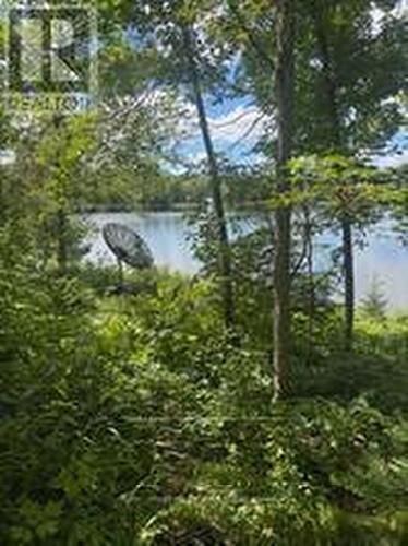 493 Buttermilk Lane, Marmora And Lake (Marmora Ward), ON 