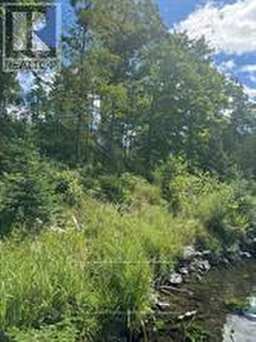 493 Buttermilk Lane, Marmora And Lake (Marmora Ward), ON 