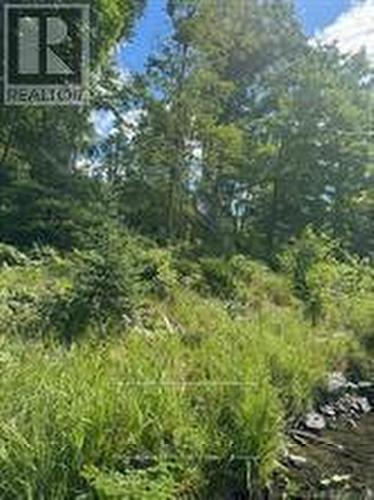 493 Buttermilk Lane, Marmora And Lake (Marmora Ward), ON 