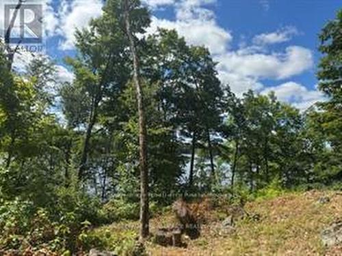 493 Buttermilk Lane, Marmora And Lake (Marmora Ward), ON 
