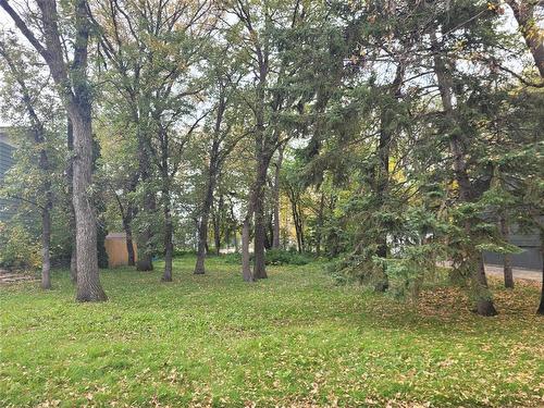 fantastic 66' x 116' lot - 0 14Th Street Nw, Portage La Prairie, MB 