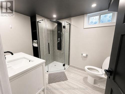 442 Scenic Drive, London South (South J), ON - Indoor Photo Showing Bathroom