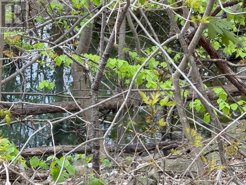 442 Scenic Drive, London South (South J), ON - Other