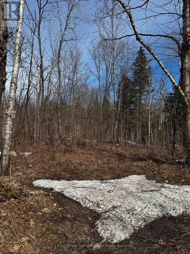 Lot 1 Lorimer Lake Road, Whitestone (Hagerman), ON 