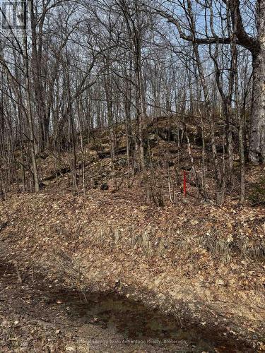 Lot 1 Lorimer Lake Road, Whitestone (Hagerman), ON 