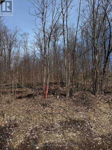 Lot 1 Lorimer Lake Road, Whitestone (Hagerman), ON 