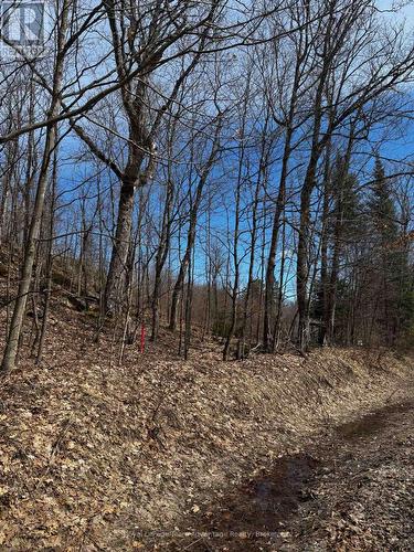 Lot 1 Lorimer Lake Road, Whitestone (Hagerman), ON 