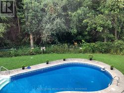 Deer visit frequently - 