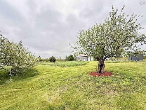 1595 West Tatamagouche Road, West Tatamagouche, West Tatamagouche, NS 