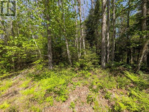 12 Poplar Street, South River, ON 