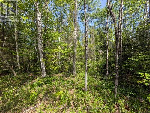 10 Poplar Street, South River, ON 
