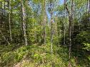 10 Poplar Street, South River, ON 