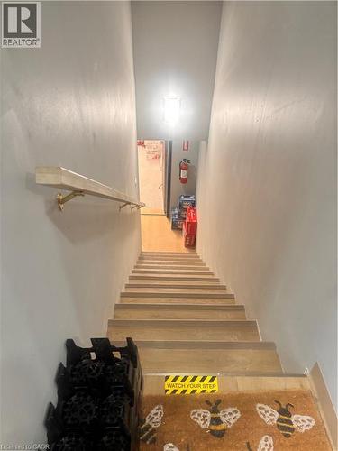 Staircase featuring wood-finish treads and a light-toned handrail - 556 Stirling Avenue S, Kitchener, ON 