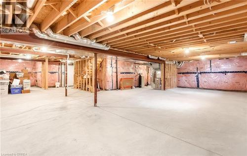 10 Mcgovern Lane, Paris, ON - Indoor Photo Showing Basement