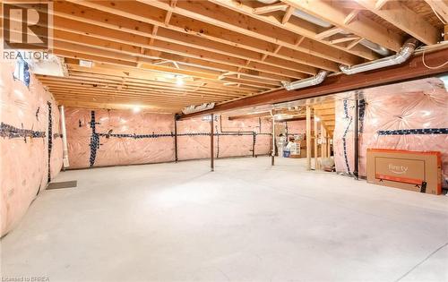10 Mcgovern Lane, Paris, ON - Indoor Photo Showing Basement