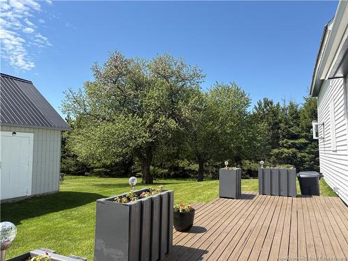 368 Johnville Rd, Johnville, NB 