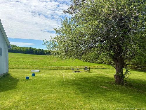 368 Johnville Rd, Johnville, NB 