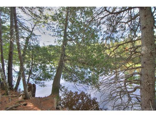 Lot Route 470, West Branch, NB 