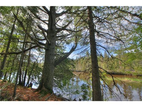 Lot Route 470, West Branch, NB 