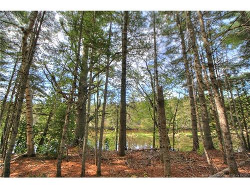 Lot Route 470, West Branch, NB 