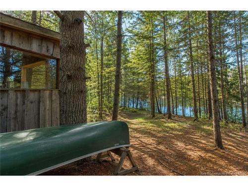 Lot Route 470, West Branch, NB 