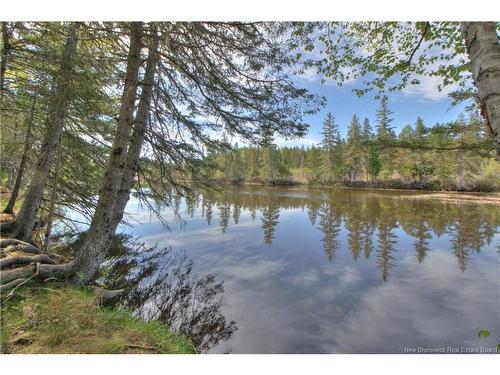 Lot Route 470, West Branch, NB 